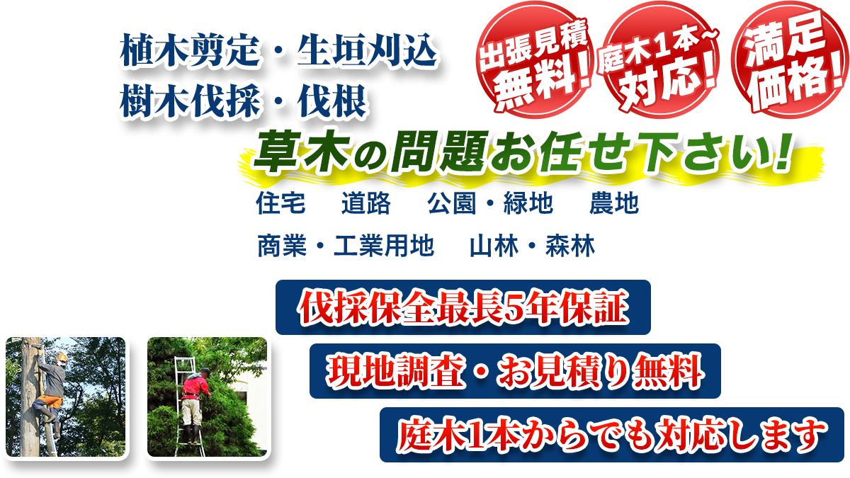 川越市エリア即対応!! 出張無料! 庭木1本~対応! 満足価格! 植木剪定・生垣刈込 樹木伐採・伐根 草木の問題お任せ下さい! 住宅 道路 公園・緑地 農地 商業・工業用他 山林・森林 伐採保全最長5年保証 現地調査・お見積り無料 庭木1本からでも対応します