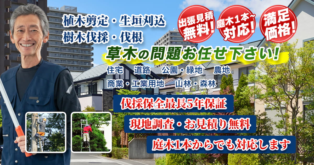株式会社 緑建【植木・草刈・剪定・伐採・特殊伐採】川越市全域対応の外観